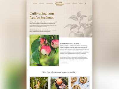 Grills Orchards graphic designer web designer web developer webdesign website design