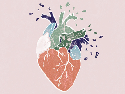 a heart apart drawing heart illustration procreate