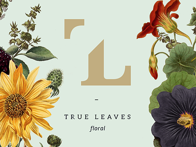 True Leaves Floral Branding botanical brand branding business floral flowers leaves logo logotype tl true