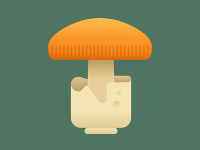 Mushroom 101 eat food green illustration interactive mushrooms new project poison website