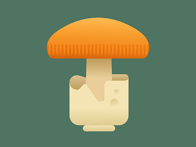 Mushroom 101