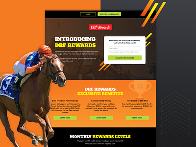 Landing Page For Horse Racing News & Handicapping Company bets betting conversion rate optimization horse racing landing landing page landing ui sales page sports website design