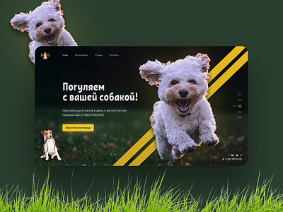 Dog animal dog webdesign website