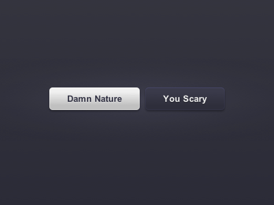 DAMN NATURE, YOU SCARY buttons click clicky css css3 gloss gradient highlight web