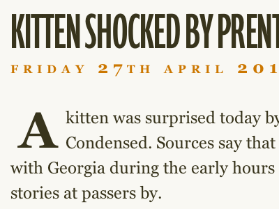Kitten Shocked By Prenton baseline css css3 headline prenton typekit web
