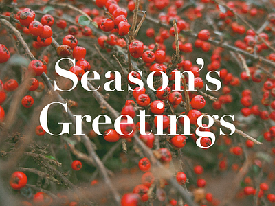 Season’s Greetings berries christmas didot holiday holidays seasons greetings