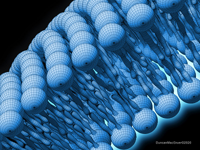 Cellular Lipid Bilayer - wireframe sciart science communication science illustration science visualization