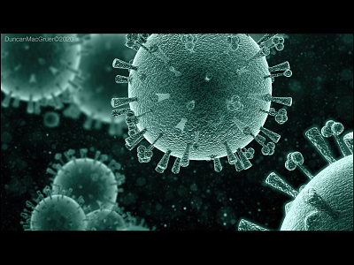 H5N1 Avian Flu Virus illustration science illustration science visualization scientific figures