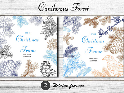 Coniferous Forest/Patterns