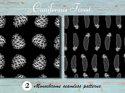 Coniferous Forest/ Patterns