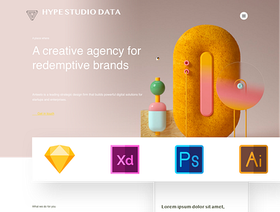 Hype Studio Data - Webpage Design branding design illustration logo sketch ui ui ux xd