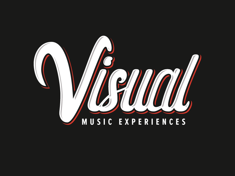 Visual // Logotype brush lettering logotype script type lettering brush typography design logo branding