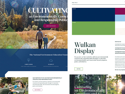 Style Tiles for an Environmental Education Foundation concept conservation design education environment foundation typography ui website