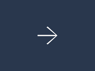 Elegant Custom Arrow