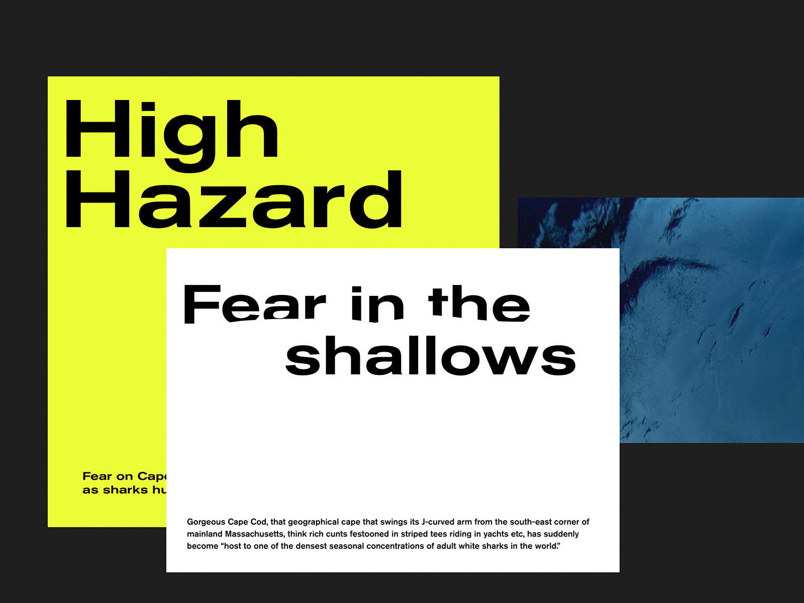 Shark Warning – Concept Exploration clean colors concept design development graphic design layout minimalistic typography