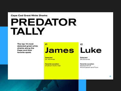 Design Exploration 2/3 – Shark Warning Concept clean concept exploration explore graphic design layout typography