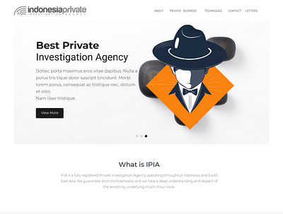 Investigation Agency branding design illustration logo minimal typography ui design website