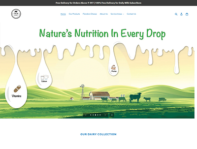 Shopify Website branding illustration product design shopify