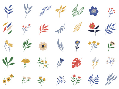 Floral elements with flowers and leaves collection artwork clip art colorful cute decoration doodle drawing flat flora floral florist flower flower illustration forest illustration leaf leaves minimal simple vector