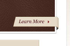 Learn More Button brown design interface ux website