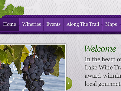Wine Trail Website design dwaiter interface ux website