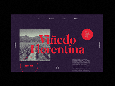 Viñedo Florentina design landing page landscape madewithaffinity photography purple uxui web wine