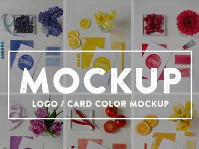 Logo / Card Color Mockups branding mockup card mockup color food mockup invitation invite mockup logo mockup mock up mockup pantone stationery mockup wedding mockup