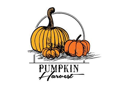 Pumpkin Harvest autumn fall fun hand drawn harvest illustration logo procreate pumpkin typography vector