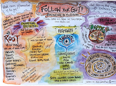 Follow Your Gut - Colour fermentation food foodie gut handdrawn health illustration infographic inforgraphics microbiome organic organic art
