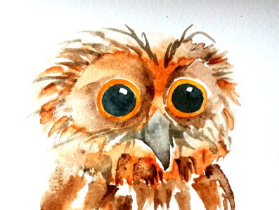Baby Owl handdrawn nature illustration watercolour watercolour illustration