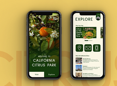 California Citrus Park - Visitor App app branding design illustration logo typography ux vector