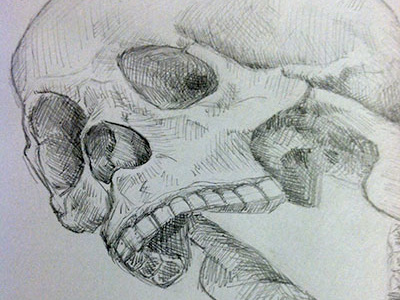 Skull Practice illustration practice sketch skull