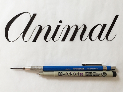 Animal animal formal handlettering lettering practice type