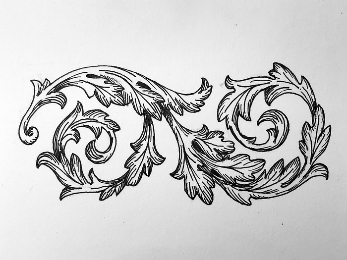 Acanthus Leaves by Mike Burroughs on Dribbble