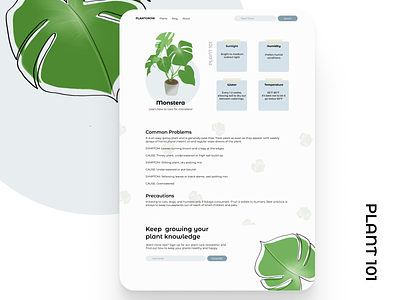 Plant Care dailyui illustration plant illustration plants ui ui design webdesign website website concept