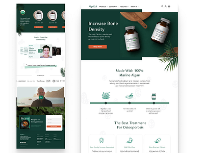 eCommerce Website Design