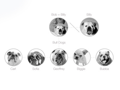 Process Dog Chart