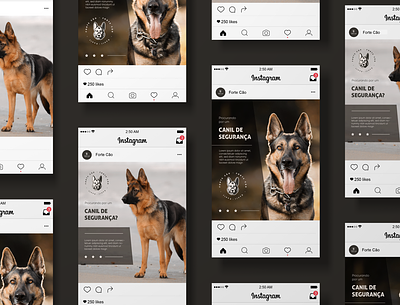 Forte Cão | Kennel art branding design dog dog logo german shepherd illustration illustrator kennel logo vector