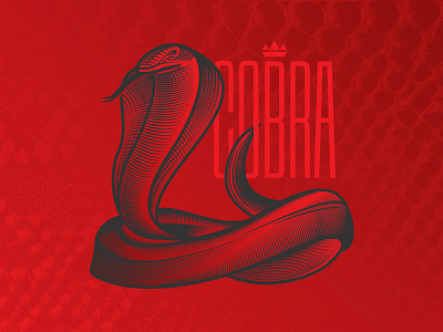 Cobra cobra illustration lines snake