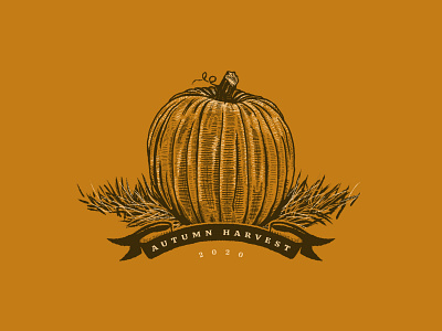 Autumn Harvest autumn fall harvest illustration pumpkin shading sketch texture