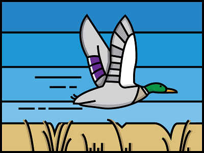 Mallard duck illustration lines mallard