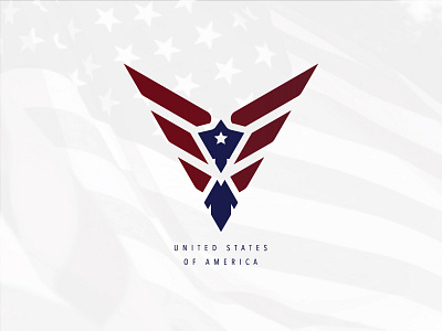 Usa america eagle flag illustration shield united states usa