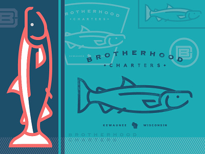 Brotherhood Charters_Concepting brand coho concept illustration lines logo salmon wisconsin