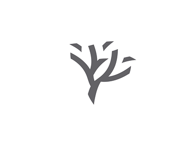 Cedar | Logo Design branding flat logo flat logo design instagram interaction logo minimal product design vector