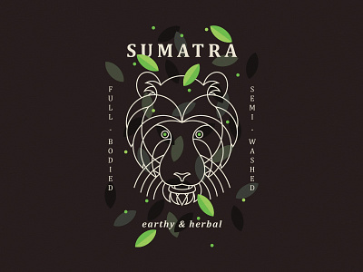 Sumatra coffee starbucks sumatra tiger