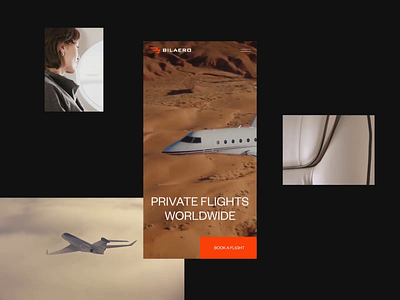 Bilaero aircraft animation black booking clean flight grid interaction interface jet minimal motion plane ui ux video web web design website