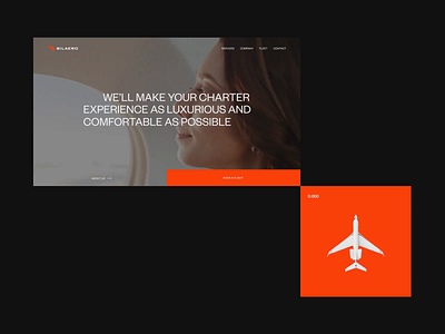 Bilaero aircraft black booking clean flight grid interaction interface jet minimal motion plane ui ux video web web design webdesign website