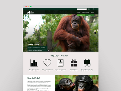 The Primate Project animals charity design monkey primate web website