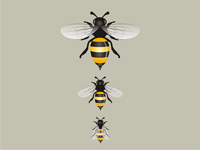 Bee Illustration