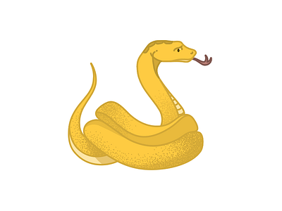 Sssssssnake doodle exploration illustration snake